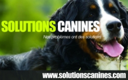 SolutionsCanines